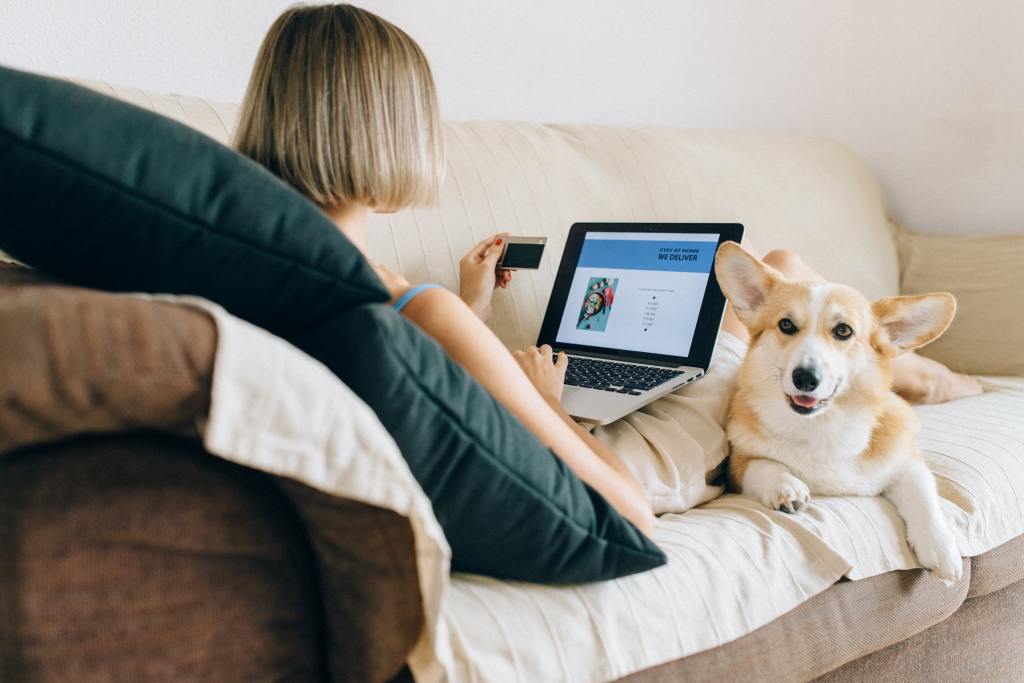 online spending shopping