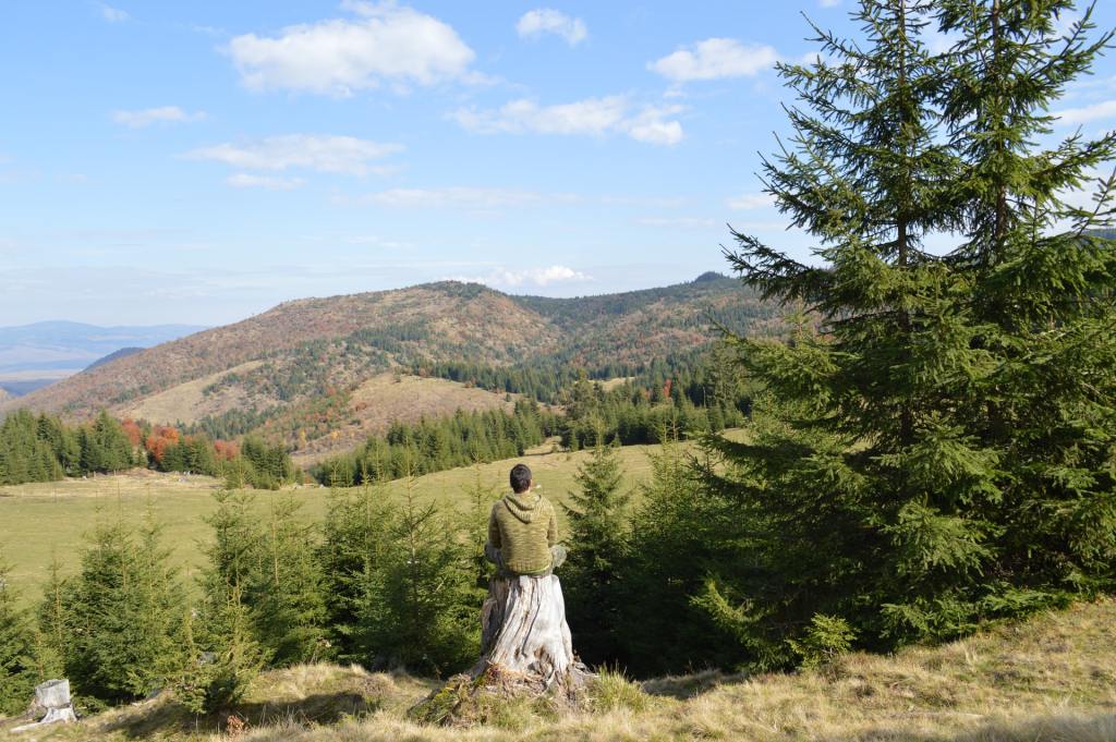 find freedom - man meditating in green space