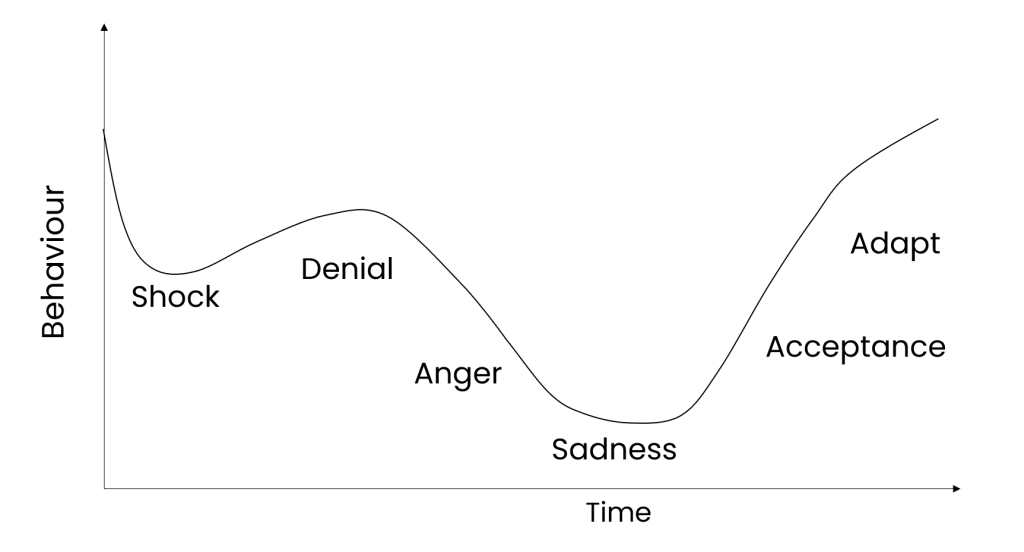 Adapted from the 5 Stages of Grief, Kübler-Ross, 1969 acceptance model